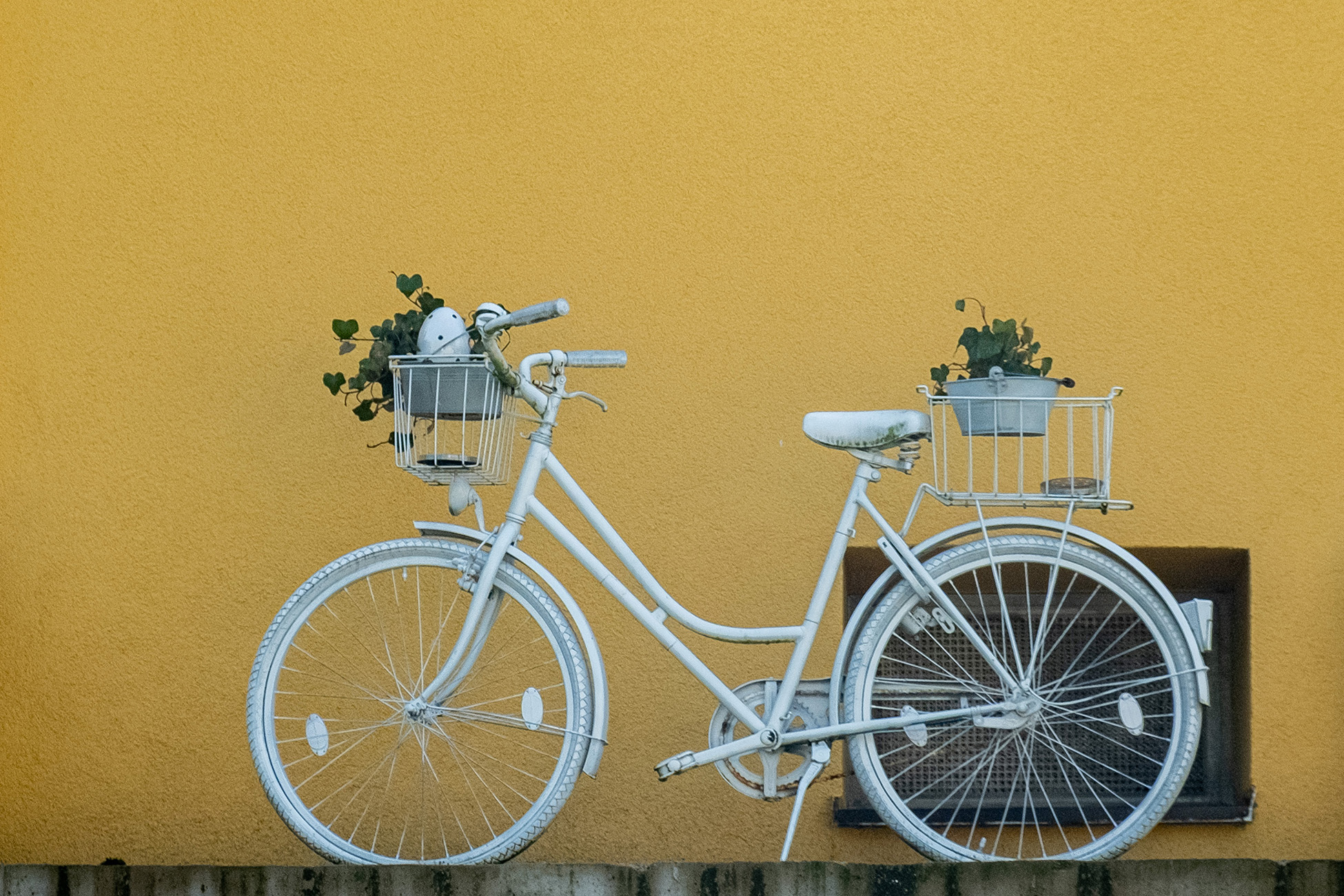 25 P Fahrrad -  Max Aichmayr